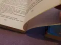 Момичето с перлената обица- Трейси Шевалие като нова, снимка 4