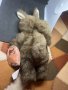 Ретро бебе катерица на Ан Гедес, снимка 10