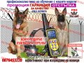 Електронен нашийник за куче. Тренировъчна каишка за дресиране , телетакт, снимка 9