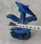 Сини делфини и морска звезда, снимка 4