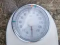 ГОЛЯМ КАНТАР 2908262047L4, снимка 5