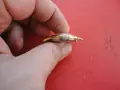 Армейски позлатен мъжки часовник Junghans 16 Jewels 20 микр, снимка 6