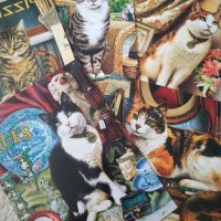 Красиви картички с изображения на котки, снимка 2 - Колекции - 35699135