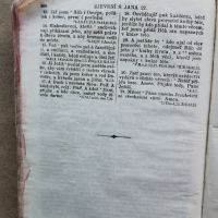 Библия на чешки(словашки?)-началото на 20 в., снимка 6 - Специализирана литература - 44821827