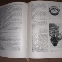 Книга за всеки ден и всеки дом 1970 г . Кулинария, снимка 7 - Специализирана литература - 34658752