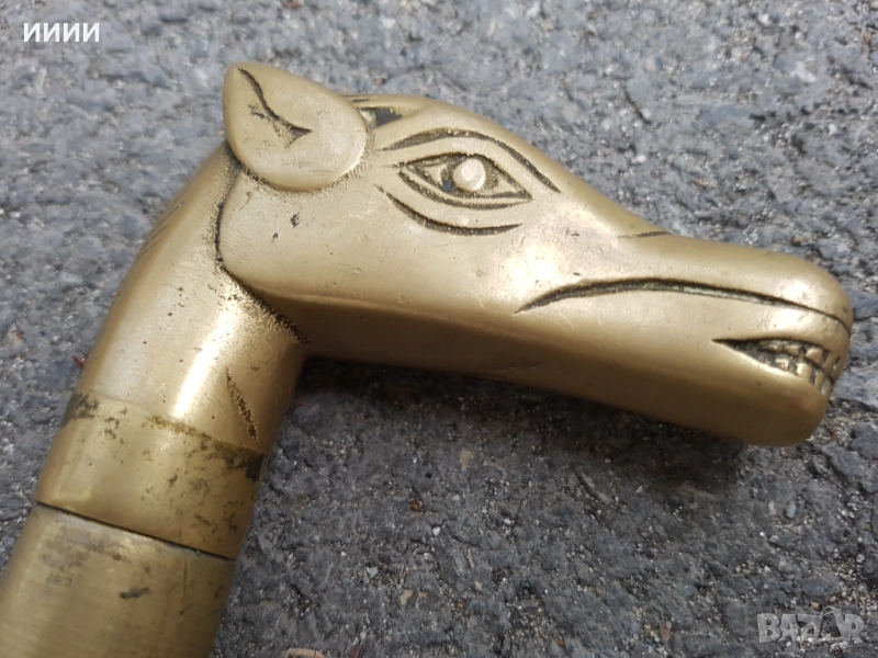 Бастун екзотичен с конска глава, снимка 1