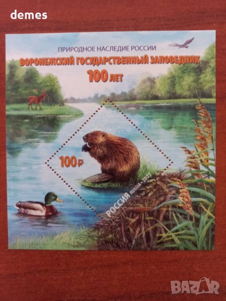 Блок марки 100 г.Воронежки Национален парк , Русия,2023,минт, снимка 1