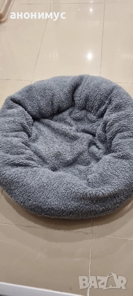Меко и удобно легло за куче,коте, снимка 1