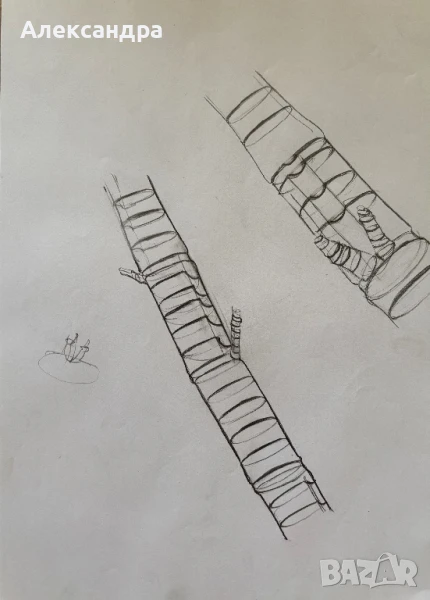 Скици 20 броя, снимка 1