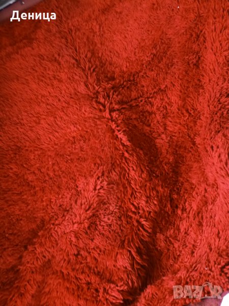 Червен китеник, снимка 1