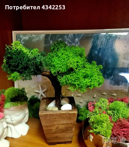 Декоративно дръвче със скандинавски мъх 🎁
, снимка 1