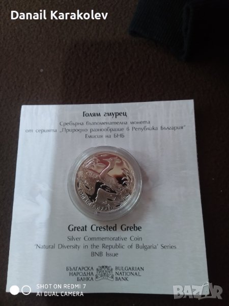 Голям гмурец, снимка 1