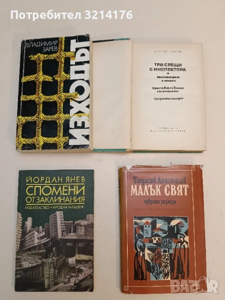 Изходът - Владимир Зарев, снимка 1