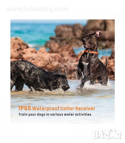 ЕЛЕКТРОНЕН НАШИЙНИК ЗА КУЧЕ ВОДОУСТОЙЧИВ ПОТОПЯЕМ С ОБХВАТ ДО 800 М. - код 3160, снимка 5 - Други стоки за животни - 33889030