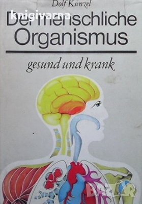 Der menschliche organismus Dolf Kunzel, снимка 1 - Специализирана литература - 34694255