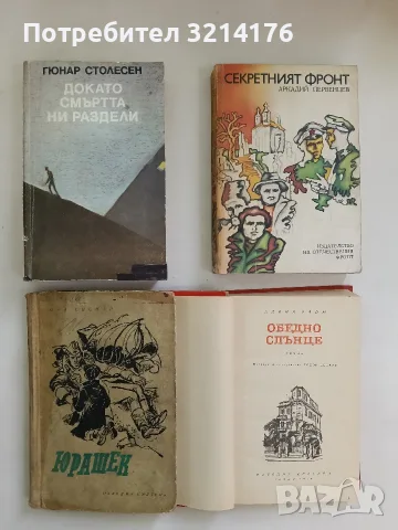 Обедно слънце - Алина Пайм, снимка 2 - Художествена литература - 56288463