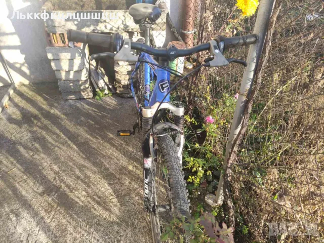 Алуминиев Велосипед FOCUS , снимка 2 - Велосипеди - 50370567