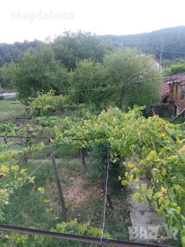 Продавам къща в с. Мрамор - област Хасково , снимка 10 - Къщи - 56121577