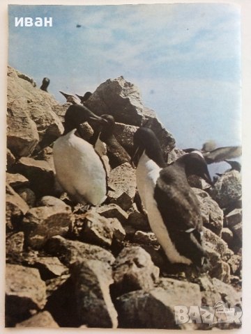 Списание "Днес и утре " - 1969г. - брой 5, снимка 4 - Списания и комикси - 41531913