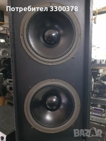 Тонколони tonsil, снимка 2 - Тонколони - 50288084