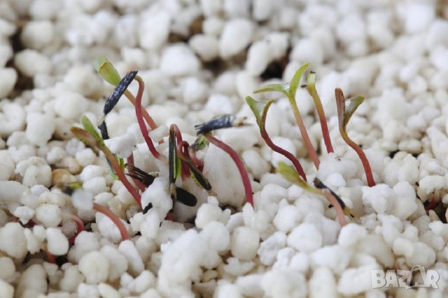 Агро ПЕРЛИТ за цветя, разсад, зеленчуци, домати, краставици и различни торо-почвени смеси.... , снимка 2 - Тор и почвени смеси - 42133442