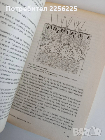 Анатомия и физиология на селскостопанските животни, снимка 2 - Специализирана литература - 53862663