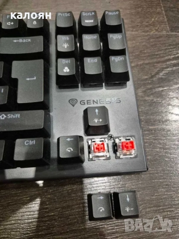 Механична клавиатура Genesis Thor 303 TKL – нова, неупотребявана, снимка 5 - Клавиатури и мишки - 52819068