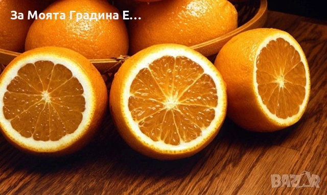 Портокал - Облагороден! 