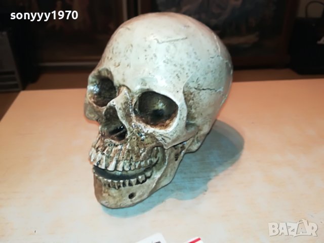 ЧЕРЕП ОТ ГЕРМАНИЯ 3112222029