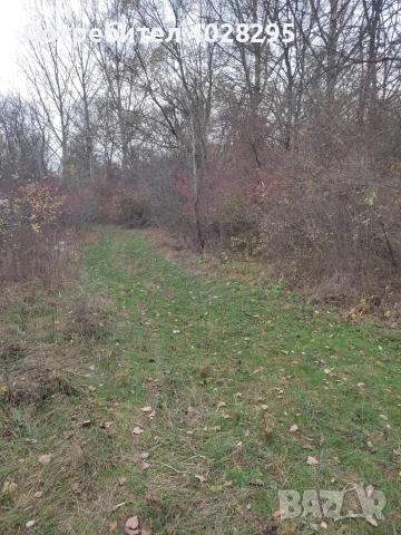 Имот в с.Габер, община Драгоман , снимка 6 - Парцели - 53387489