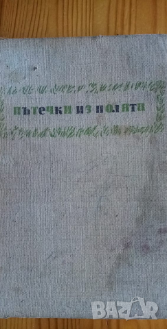 Пътечки из полята - Ст.Ц.Даскалов, снимка 1 - Детски книжки - 36405483