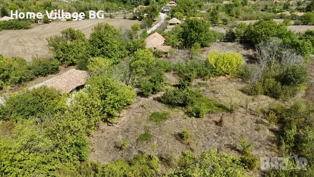 Голям парцел с къща в село Овчага , снимка 2 - Къщи - 56117267