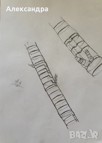 Скици 20 броя