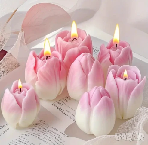 Молдове лалета 2 вида , снимка 5 - Форми - 50741662