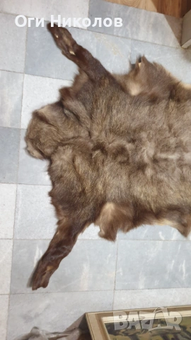 Дивечова кожа, снимка 3 - Антикварни и старинни предмети - 53218482