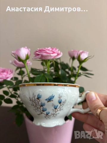 Порцеланови чаши Bernadotte , снимка 7 - Антикварни и старинни предмети - 53477571