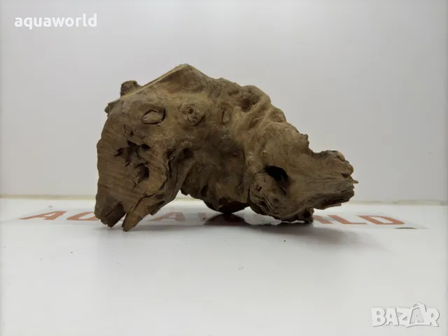 Африкански корен 13, снимка 4 - Оборудване за аквариуми - 49398438