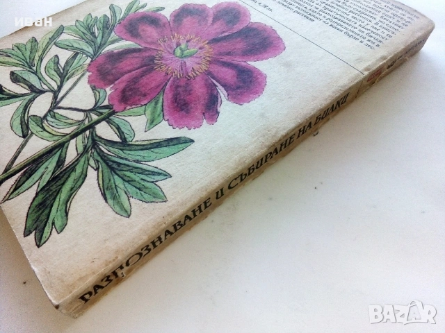 Разпознаване и събиране на билки - Борис Китанов - 1987г., снимка 9 - Енциклопедии, справочници - 53286255