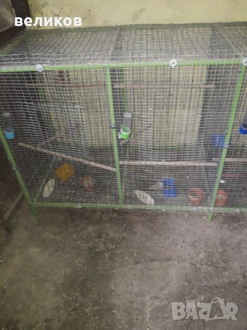 клетки за птици, снимка 4 - За птици - 39971146