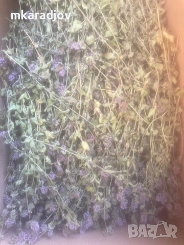 Чай, Билки, Подправки, плодове еко био, снимка 3 - Домашни продукти - 46647684