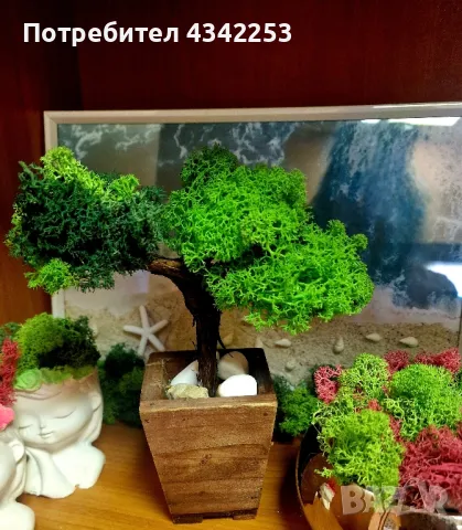 Декоративно дръвче със скандинавски мъх 🎁
