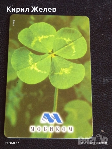 Четири фонокарти МОБИКА, БУЛ ФОН,БТК тема ЦВЕТЯ за КОЛЕКЦИЯ 27025, снимка 7 - Колекции - 51677548