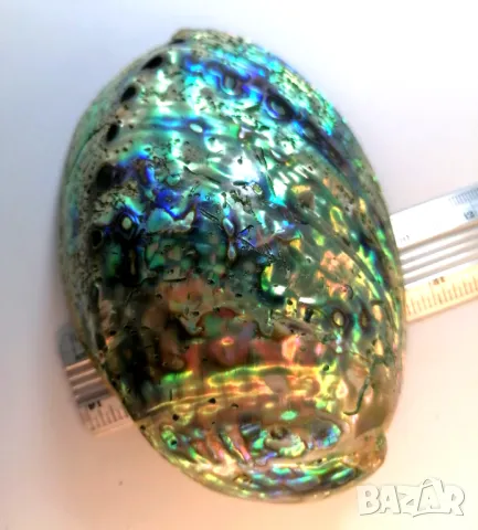 Mother of Pearl, Седеф, снимка 3 - Декорация за дома - 48496774