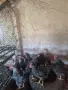 Селски петлета.., снимка 1