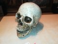 ЧЕРЕП ОТ ГЕРМАНИЯ 3112222029, снимка 1