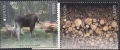 Чисти марки Европа СЕПТ 2011 Естония, снимка 1 - Филателия - 36042004