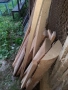 Дървен материал, чам  липа, други, снимка 3