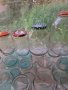 Стъклени буркани , снимка 1 - Буркани, бутилки и капачки - 41358345