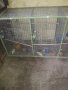 клетки за птици, снимка 4