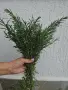 Домашен крем с невен и билки, снимка 6